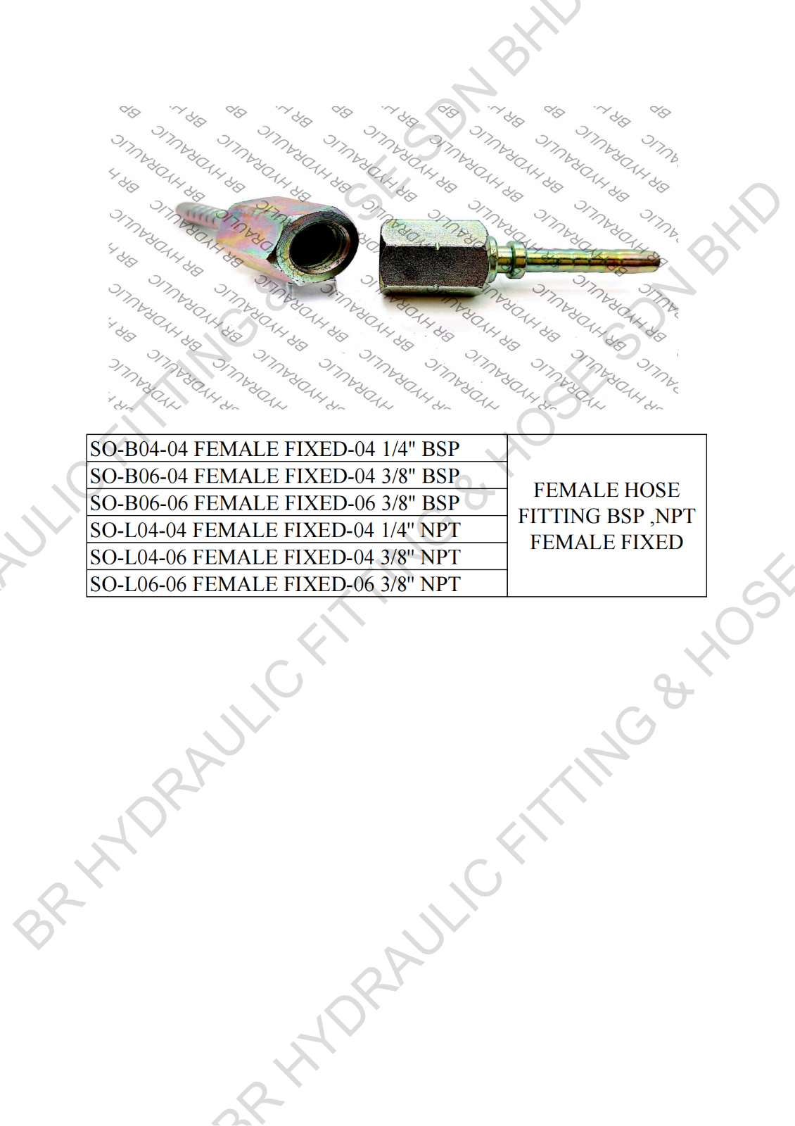 FITTING SO (BSP) (NPT)