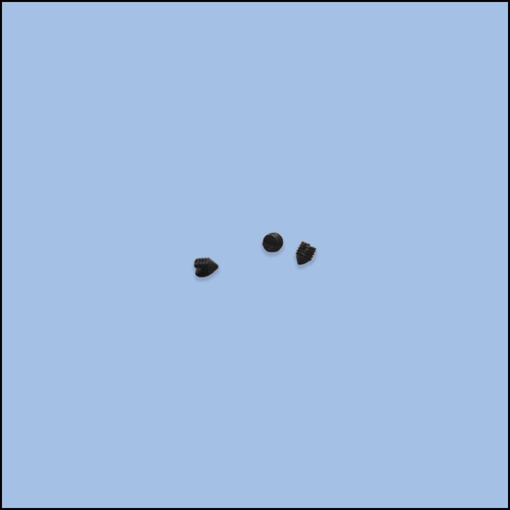 SCREW (84-5130-0)