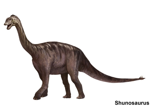 Shunosaurus 