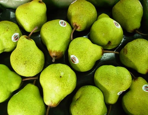 South Africa Pear