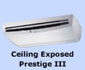 Ceiling Exposed Prestige III