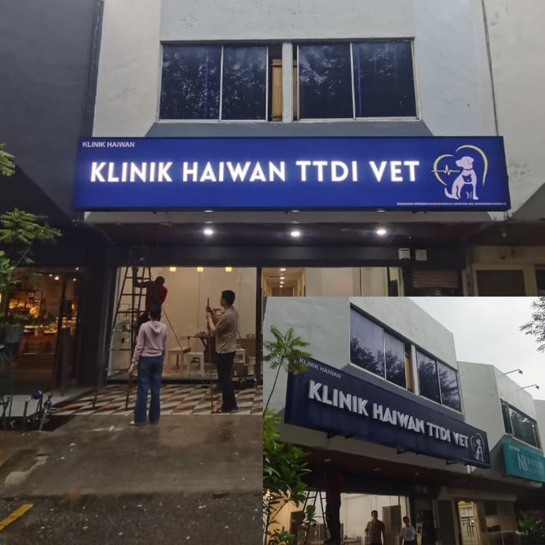 3D Led Box Up Frontlit Wording | Light Box Signage