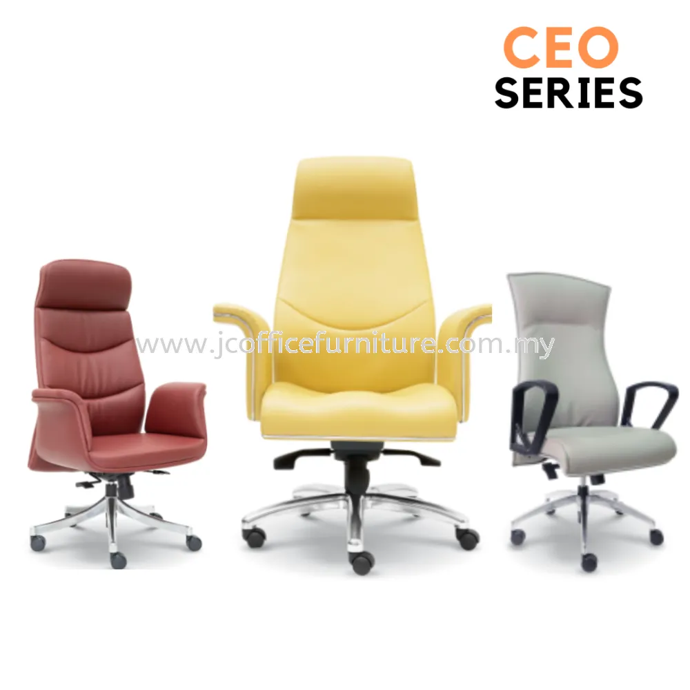 CEO Series