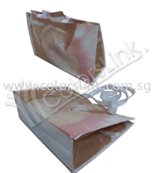 COL-PPW-04 PP Woven Bags Singapore Supplier, Suppliers, Supply, Supplies | Colorslink Trading