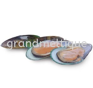 New Zealand half shell mussel 半壳青口