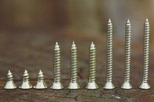 Self Tapping Screw 