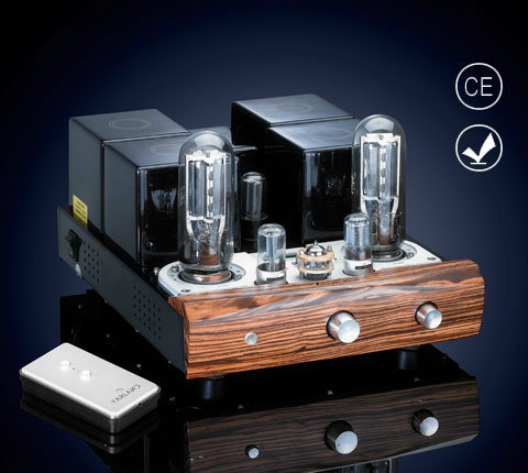 Integrated Tube Amplifier Yarland   Supply, Suppliers, Supplies | Erictron Hi-Fi Centre