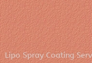 Suzuka Lithin Coating Sample Johor Bahru JB Malaysia Supplier & Supply | Lipo Spray Coating Services