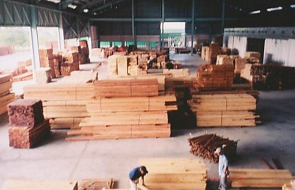 Sawn Timber Species