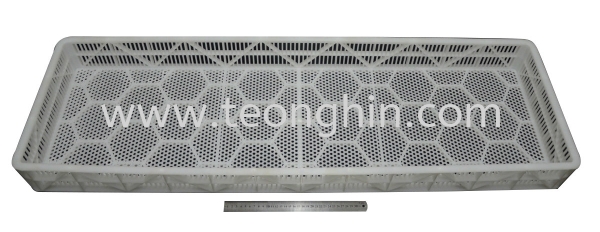 PTY9002-Chick-Basket-200 Chicken Basket Malaysia, Johor, Kluang Supplier, Manufacturer, Supply, Supplies | Teong Hin Plastic Industries Sdn Bhd