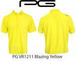 PG VR1211