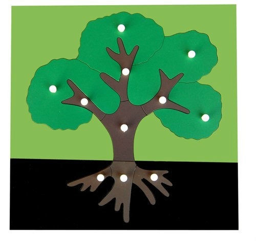 KB007 Botany Puzzle-Tree Nature Studies Mentessori Apparatus Johor Bahru JB Malaysia Supplier & Supply | I Education Solution