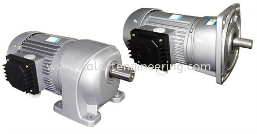 Geared Motor