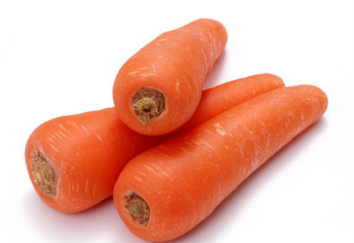 carrot
