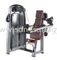 Delt raise Strength machines T-series Johor Bahru (JB), Penang, Taman Universiti, Skudai, Senai, Georgetown Supplier, Suppliers, Supply, Supplies | San Suria Gym