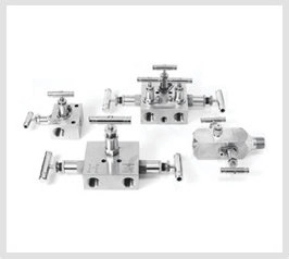 Manifolds Valves