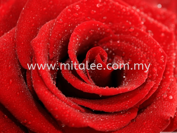 FL 26 Flower and Glass Wallpaper Customize Malaysia, Johor Bahru (JB), Selangor, Kuala Lumpur (KL) Supplier, Supply | Mitalee Carpet & Furnishing Sdn Bhd