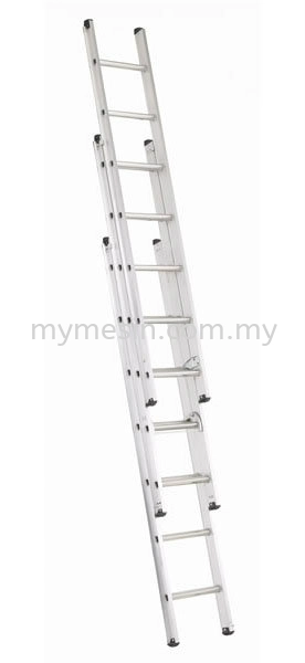 Triple Extension Ladder