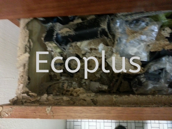 checking at Taman Melodies, Johor Bahru Others Johor Bahru (JB)  | EcoPlus Pest Control