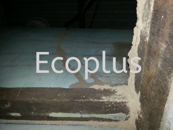 checking at taman universiti, skudai Lain-lain Johor Bahru (JB)  | EcoPlus Pest Control