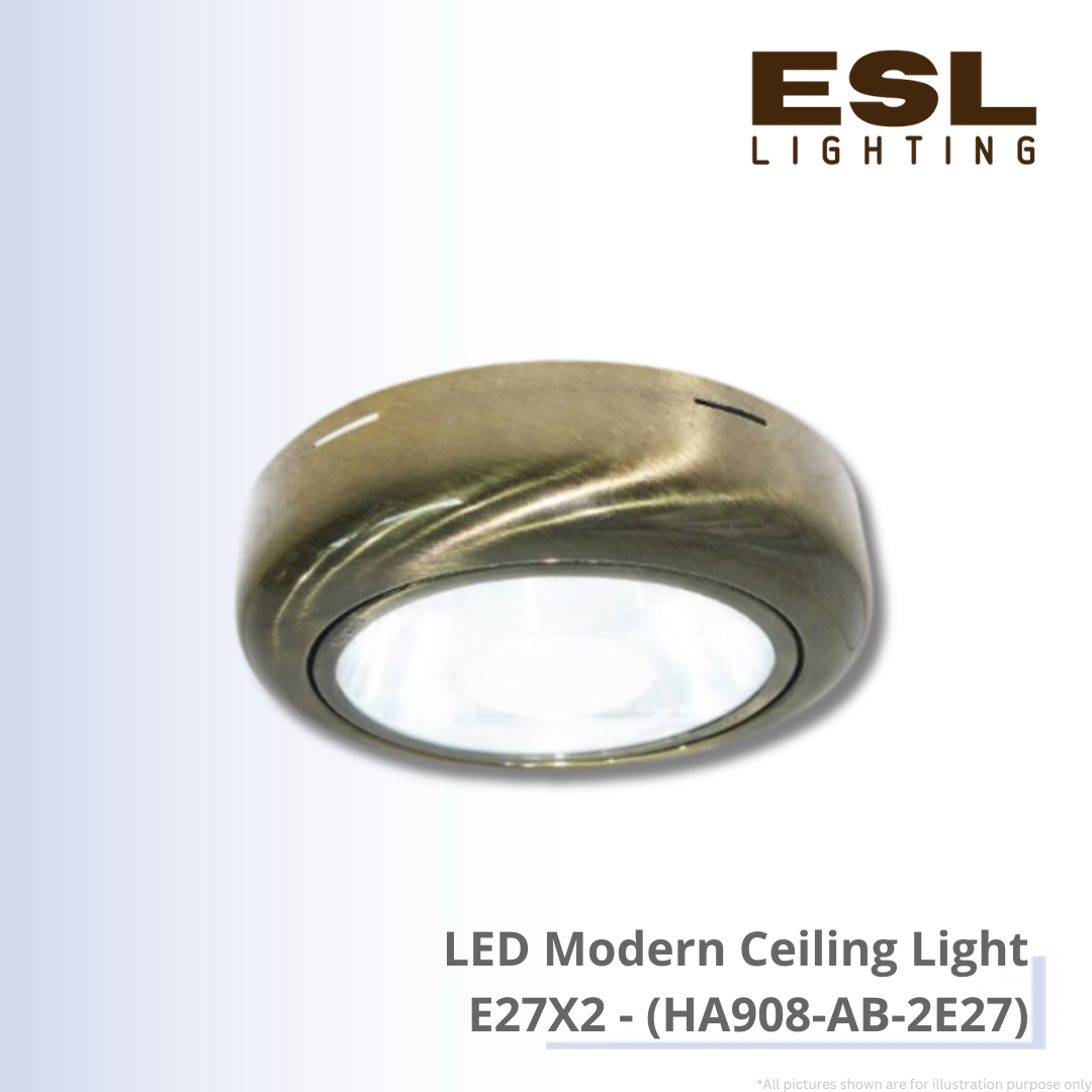 LED Modern Ceiling Light E27X2 - HA908-AB-2E27