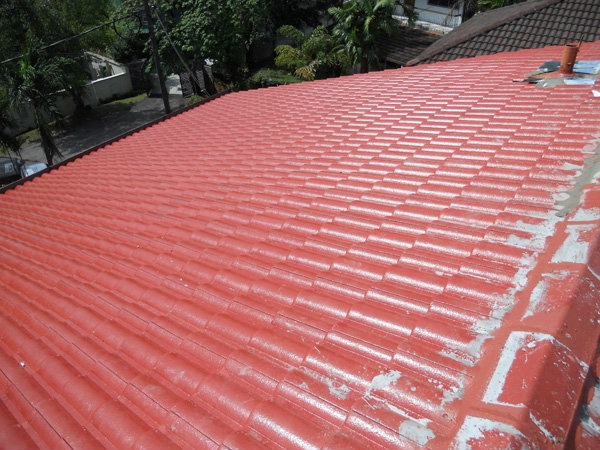 Supply and change Roof Tiles