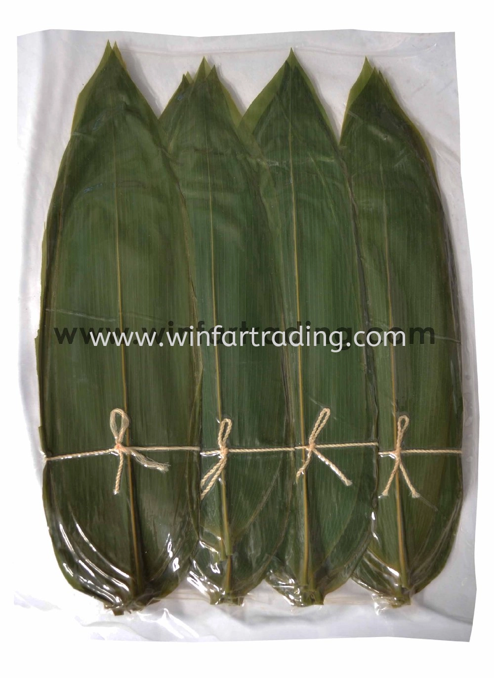 Sasanoha (Fresh Bamboo Leaf)