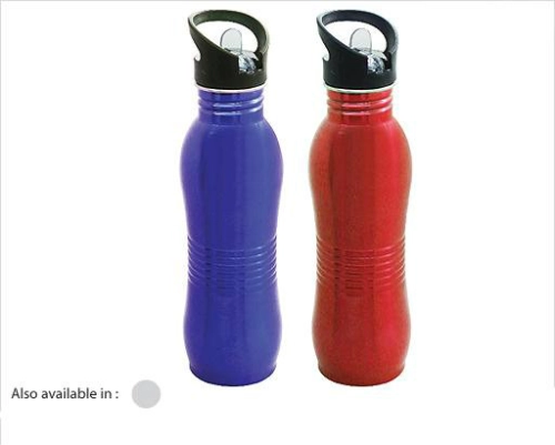 Water Bottle (WB38)