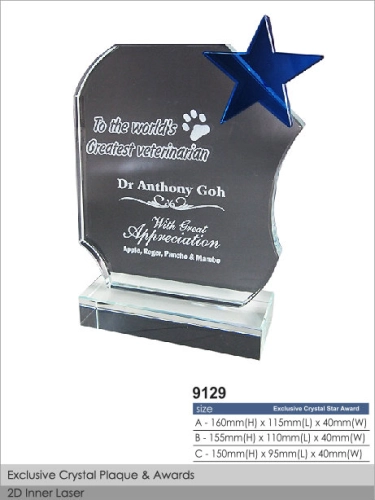 Crystal Plaque / Awards (CT45)