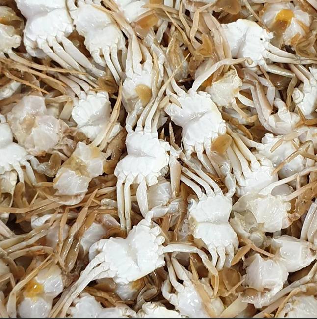 Baby Crab