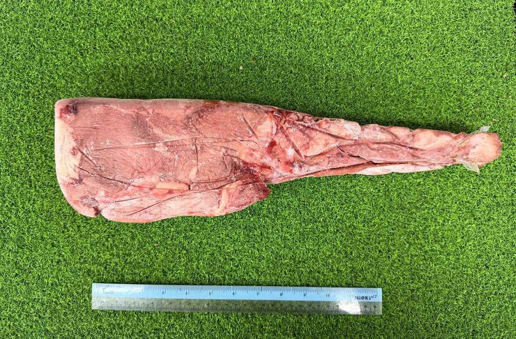 Beef Tenderloin