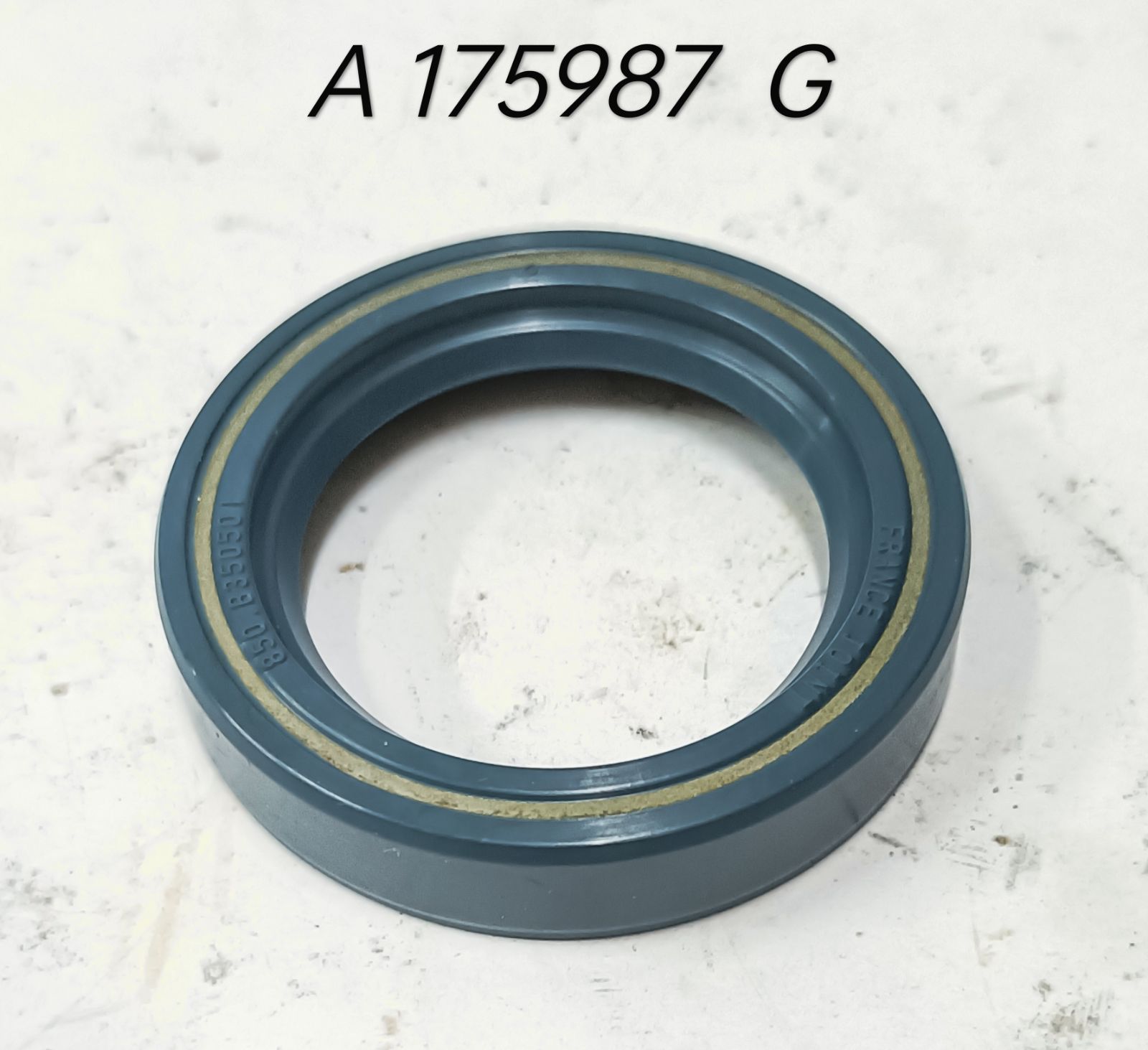 175987 A1  OIL  SEAL   (CNH)