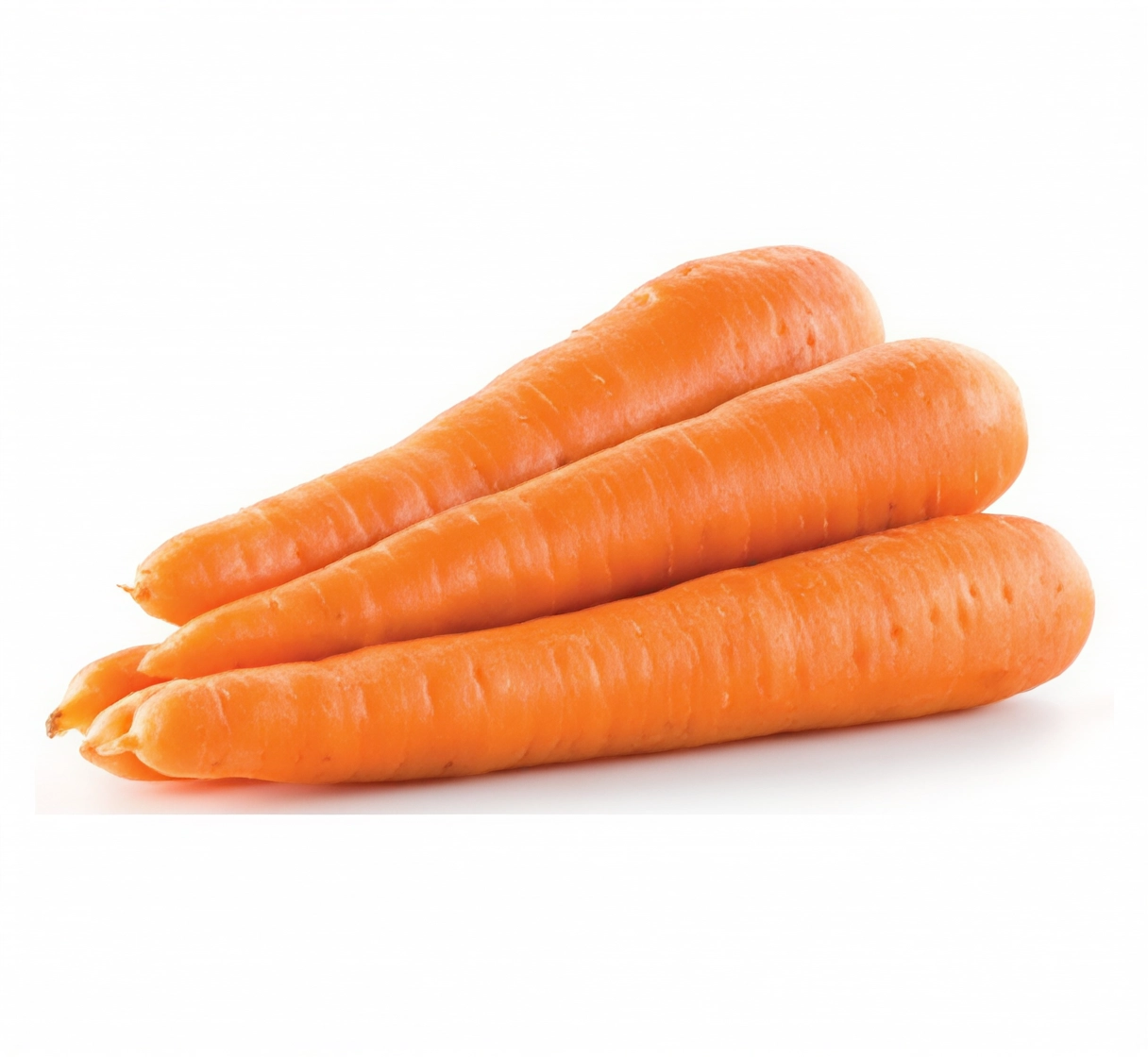 Carrot 萝卜