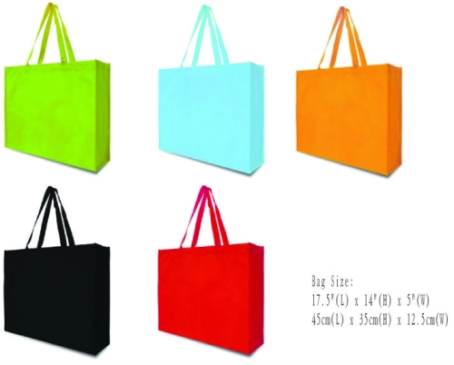 Non Woven Bag (BNW002)