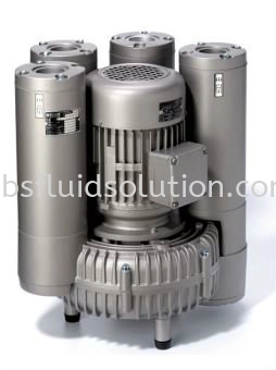 Side Channel Vacuum Pumps