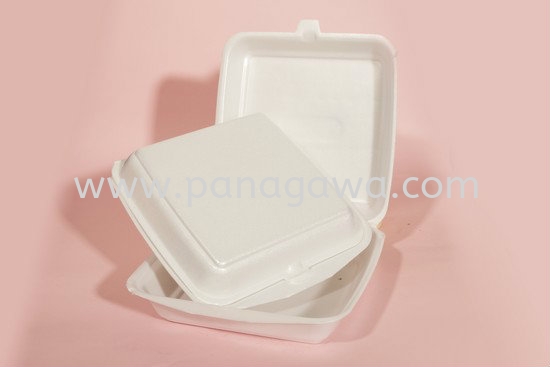 SEA17 Box / Clamshell Foam Products Johor Bahru (JB), Malaysia Manufacturer, Supplier, Provider, Distributor  | Panagawa Sdn. Bhd.