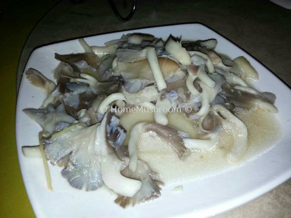 Vegetarian Fried Oyster Mushroom Mushroom Cuisine Kluang, Johor, Malaysia Supplier, Suppliers, Supplies, Supply | Home Mushroom