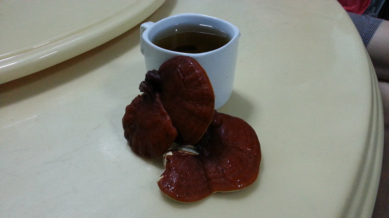 Ganoderma Tea