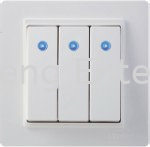 Blue LED Embedded Switches - Model No: V59033 V5 Series Simon Electricity Klang, Selangor, Kuala Lumpur (KL), Malaysia. Supplier, Supplies, Supply, Service, Repair | TW Meng Enterprise Sdn Bhd