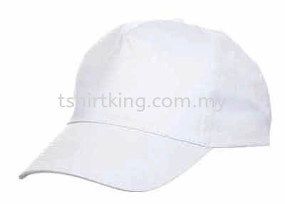 CP0500 White