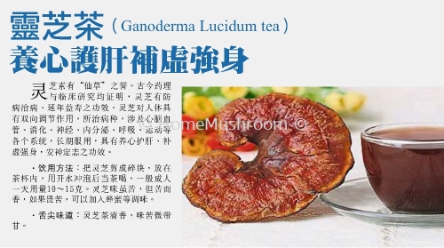 Ganoderma Lucidum Tea