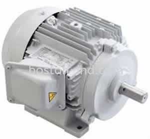 Hensen Induction Motor IEC & NEMA STANDRAD HANSON / Hensen Electric Motori Induction Motor Johor Bahru (JB), Johor. Supplier, Suppliers, Supply, Supplies | Boston Industrial Engineering Sdn Bhd