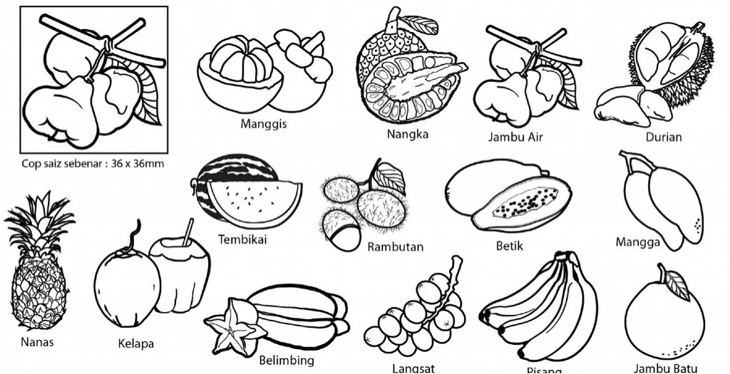 Contoh lukisan buah buahan tempatan