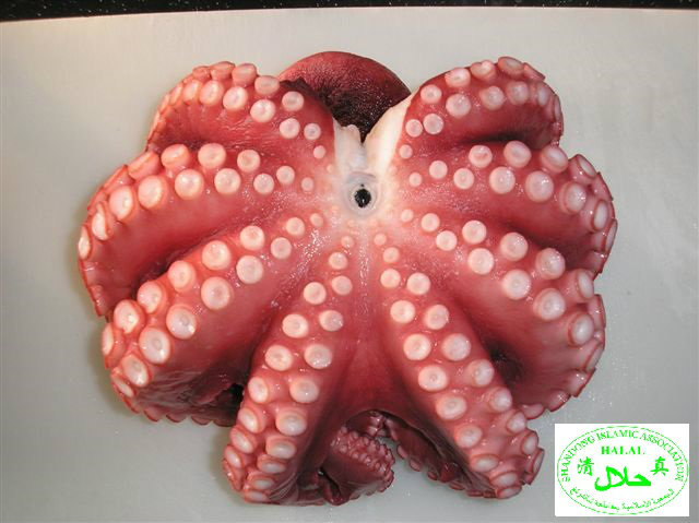 Madako / Tako / Frozen Boiled Whole Octopus (South Africa Origin) (Halal Certified)