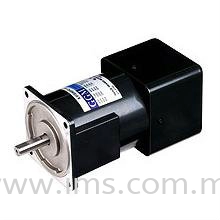 K9IP180FD (180W) GGM Induction Motor 