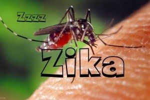 WHAT IS ZIKA VIRUS?