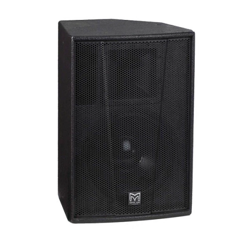 Martin F12+ 12" Speaker 