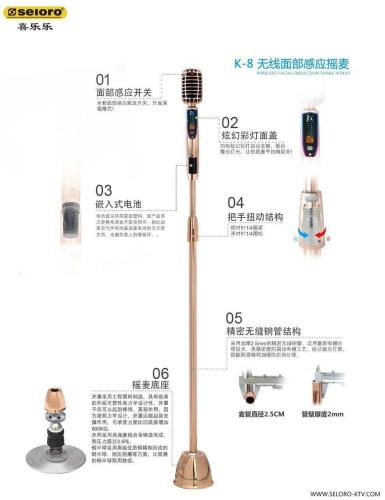 Seioro Wireless Microphone 