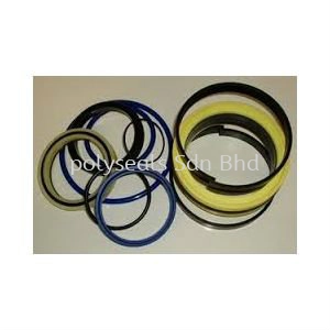 Backhoe Seal Kit