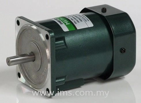 IHT9PG60-22GC MEISTER Speed Control 60W Motor
